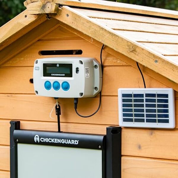 Découvrez notre test du ChickenGuard Pro, la porte automatique pour poulailler avec kit solaire. Installation facile, sécurité améliorée et autonomie énergétique assurée pour vos poules.