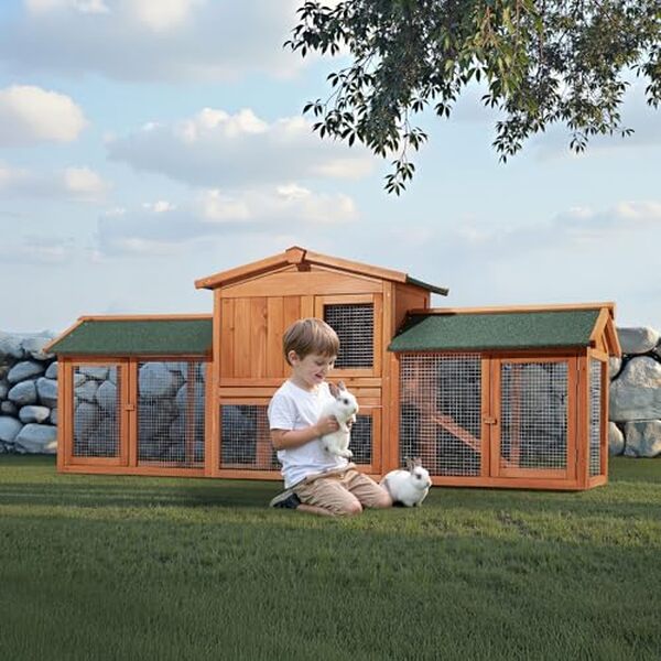 Découvrez notre évaluation détaillée du clapier XXL Wiltec, son espace généreux pour rongeurs et poules. Profitez d'un environnement parfait pour vos compagnons à plumes et à poils.