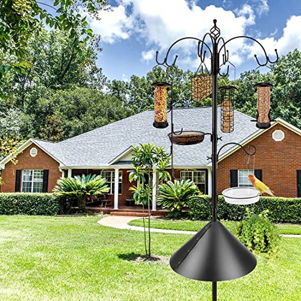 Découvrez notre test complet de la mangeoire de luxe équipée d'une cloison anti-écureuil ingénieuse. Offrez à vos oiseaux une alimentation en toute tranquillité.