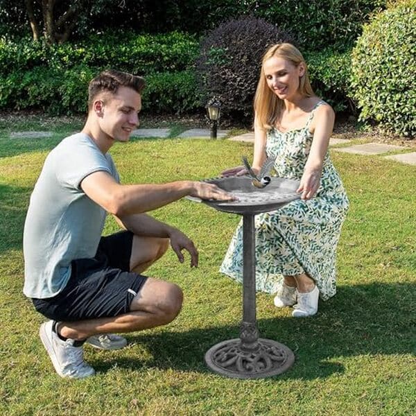 Découvrez notre analyse complète du bain d'oiseaux de jardin Vivohome gris 71 cm : design, durabilité, installation et entretien pour un espace extérieur accueillant