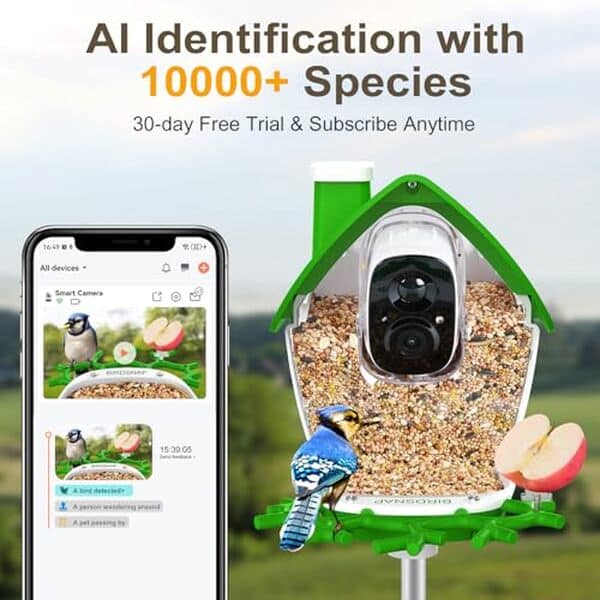 Découvrez la mangeoire birdsnap® P33 avec caméra solaire 2K : analyse de ses performances, avantages écologiques et avis d'expert pour tout savoir avant d'acheter.