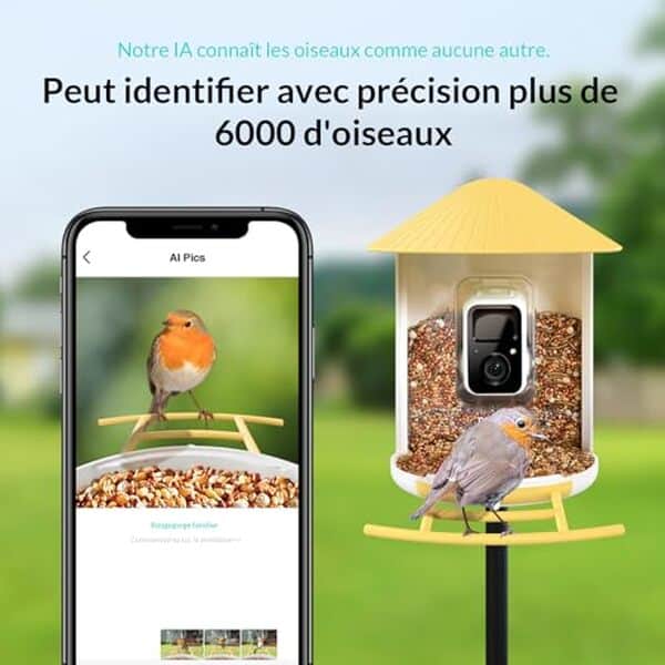 Découvrez notre test complet de la caméra mangeoire intelligente Netvue Birdfy pour capturer et observer les oiseaux, avec des fonctionnalités avancées et une installation facile.