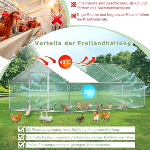Découvrez notre test complet du poulailler LZQ 3×8×2 m : analyse du cadre robuste et du toit en acier galvanisé pour un investissement durable et sûr pour vos poules.
