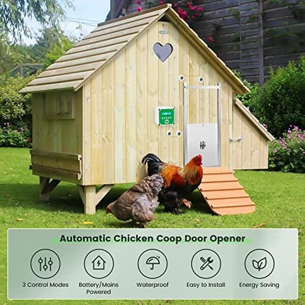Découvrez notre analyse du ouvre-porte Jradse : une solution pratique et innovante avec minuterie et télécommande pour sécuriser votre poulailler en toute sérénité
