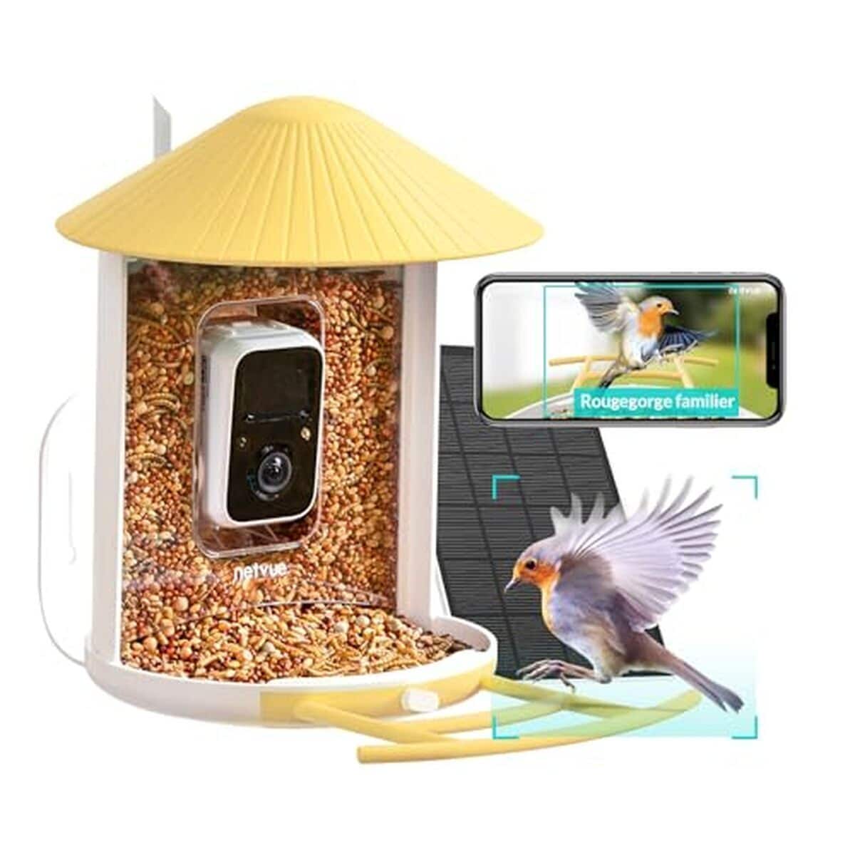 Test : caméra mangeoire Netvue Birdfy intelligente pour oiseaux