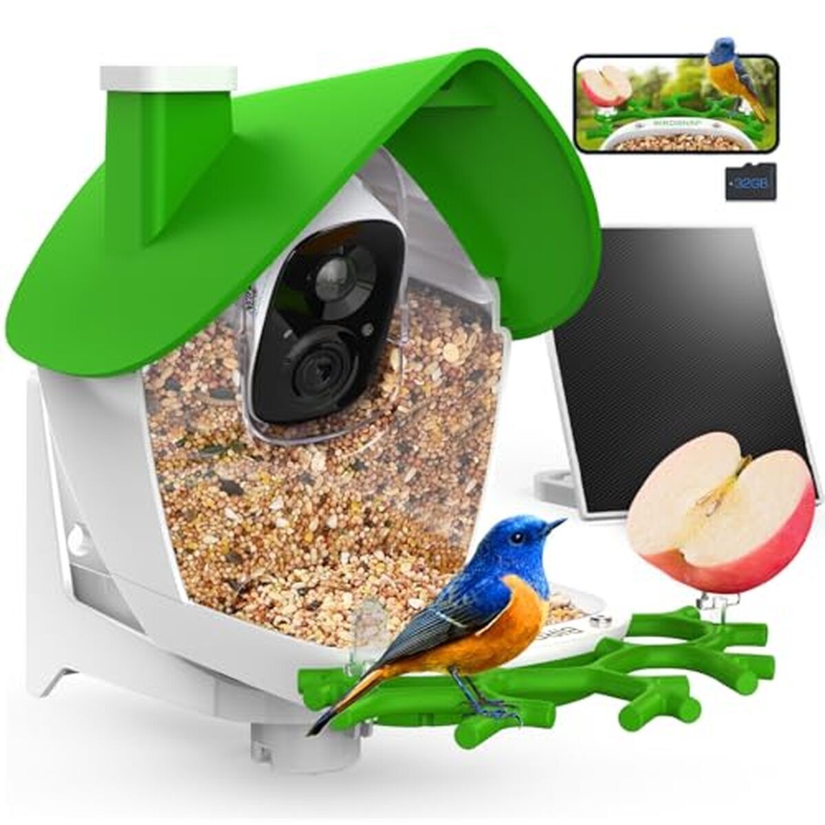 Test de la mangeoire à oiseaux birdsnap® P33 avec caméra solaire 2K