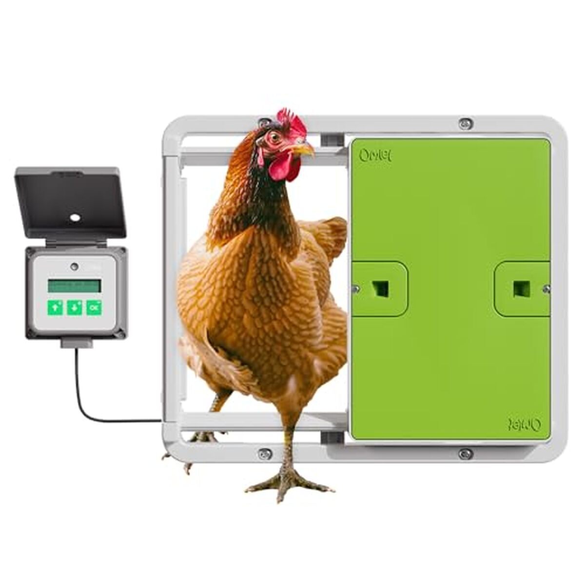 Test de la porte automatique verte Omlet