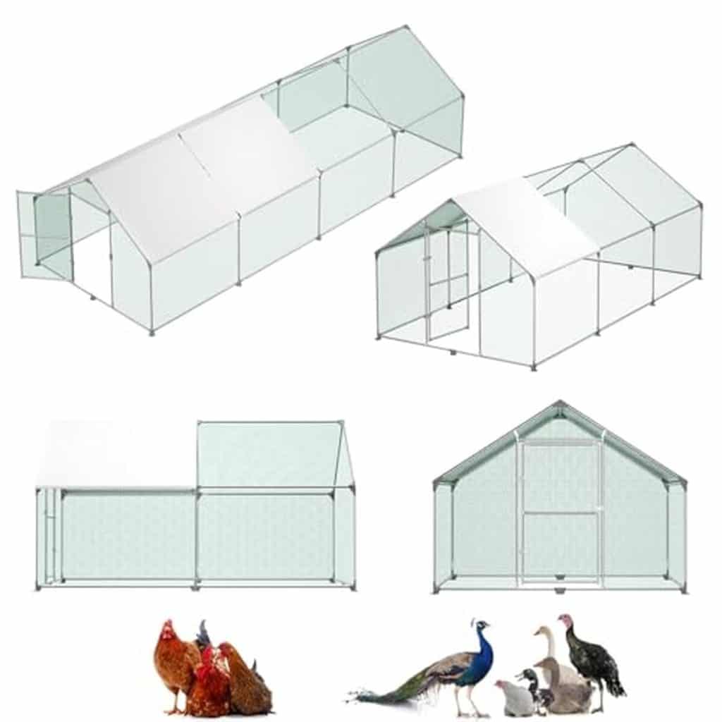Test du poulailler d'extérieur LZQ 3×8×2 m : cadre robuste et toit en acier galvanisé