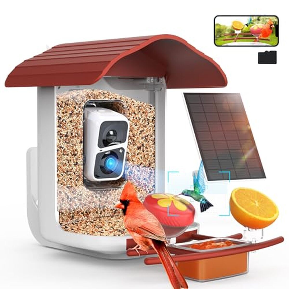 Test : mangeoire intelligente birdsnap® PAV avec caméra solaire 2K