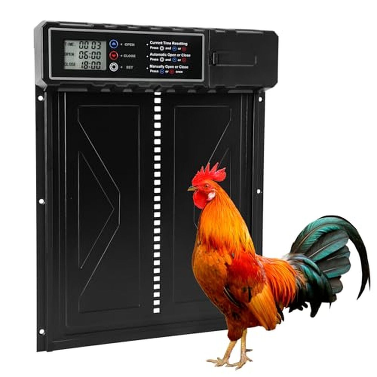 Test : porte automatique pour poulailler Seutgjie avec écran LCD