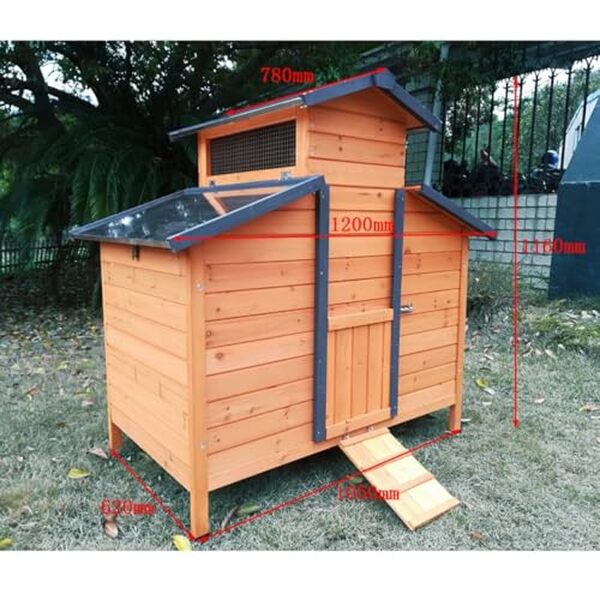 Découvrez le test complet du poulailler Animal Valley Farmer L : analyse de son toit en tôle et capacité pour 4 à 6 poules. Un choix idéal pour élever vos volailles en toute sécurité.