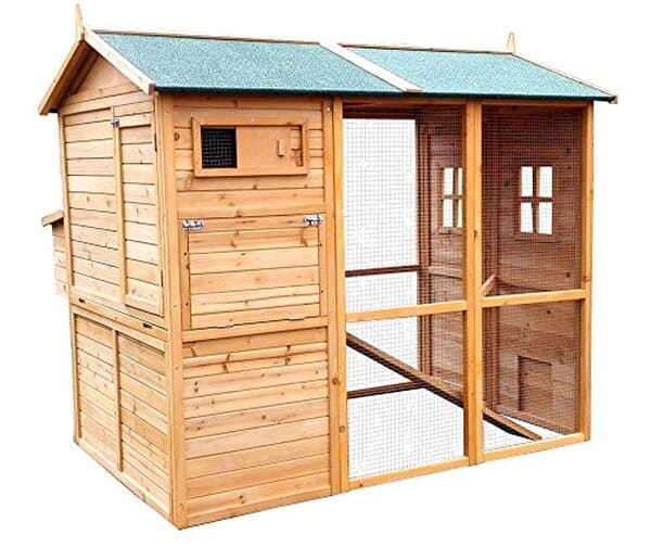 Découvrez le poulailler Gaulois II par Animal Valley, un abri spacieux et robuste pour 6 à 10 poules, idéal pour combiner confort et sécurité dans votre élevage domestique.