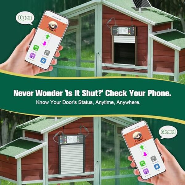 Découvrez notre avis sur la porte automatique de poulailler solaire de 4000mAh : performances, autonomie et installation simplifiée pour un confort optimal de vos volailles.