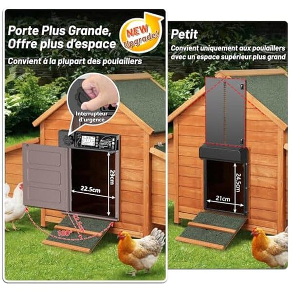 Découvrez notre analyse détaillée de la porte automatique solaire Masterfun grande taille pour poulailler. Conseils d'installation, performances, bénéfices pour vos poules : tout ce qu'il faut savoir pour un achat éclairé.