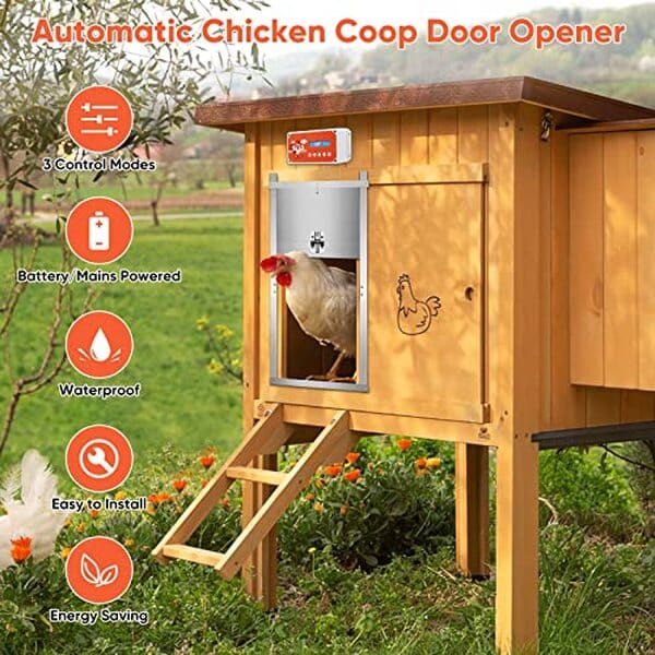 Découvrez notre test détaillé de la porte de poulailler automatique Jradse : efficacité, minuterie et sécurité pour vos volailles