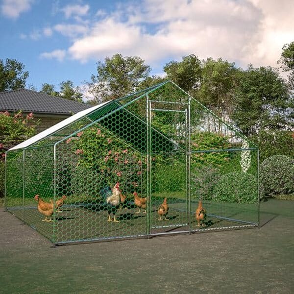Explorez notre test du poulailler Jaxilyn : un enclos de 3 x 4 m en acier galvanisé offrant durabilité et sécurité pour vos volailles.