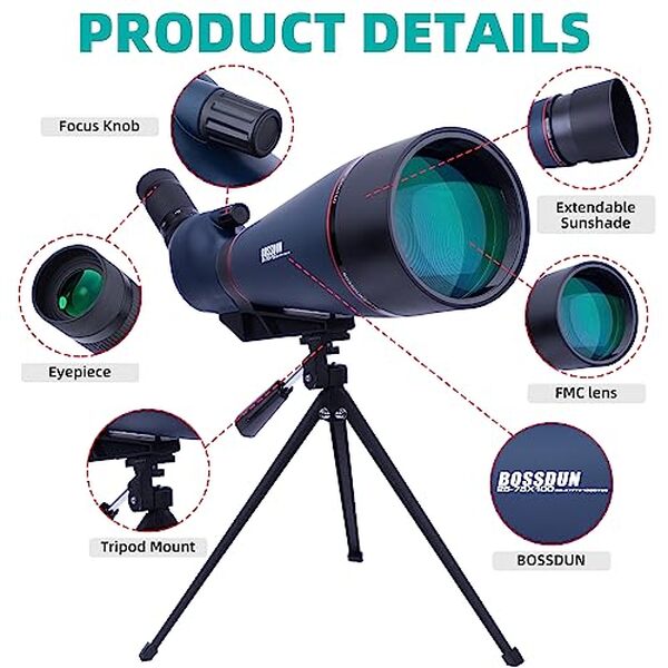 Découvrez notre comparatif de longues-vues avec trépied et sac pour apprécier les oiseaux et paysages en toute simplicité