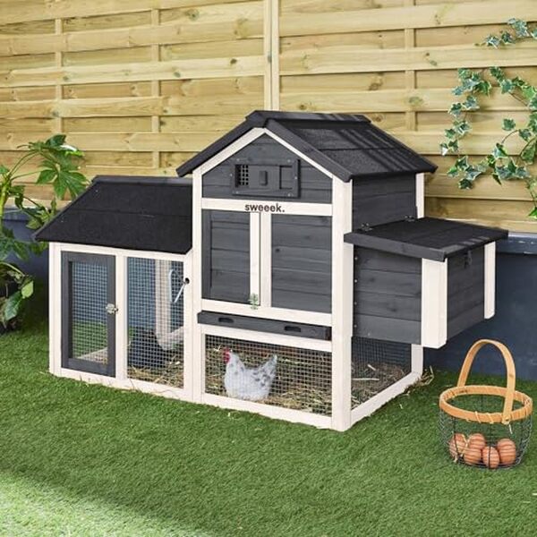 Plongez dans notre analyse détaillée du poulailler Alice's Garden Galinette et découvrez pourquoi c'est l'abri parfait pour abriter vos trois poules en toute sécurité et confort.