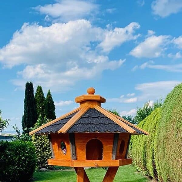 Découvrez la mangeoire DARLUX hexagonale en bois taille XL, alliant esthétisme et praticité. Idéale pour embellir et nourrir votre faune locale, ses couleurs noir-marron ajouteront une touche élégante à votre jardin.