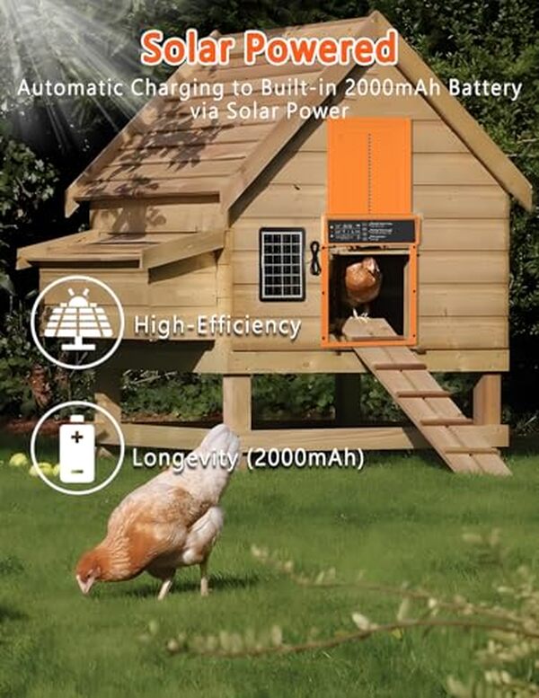 Découvrez notre analyse détaillée du poulailler automatique solaire avec porte en alliage et écran LCD. Efficacité, autonomie et confort pour vos poules.