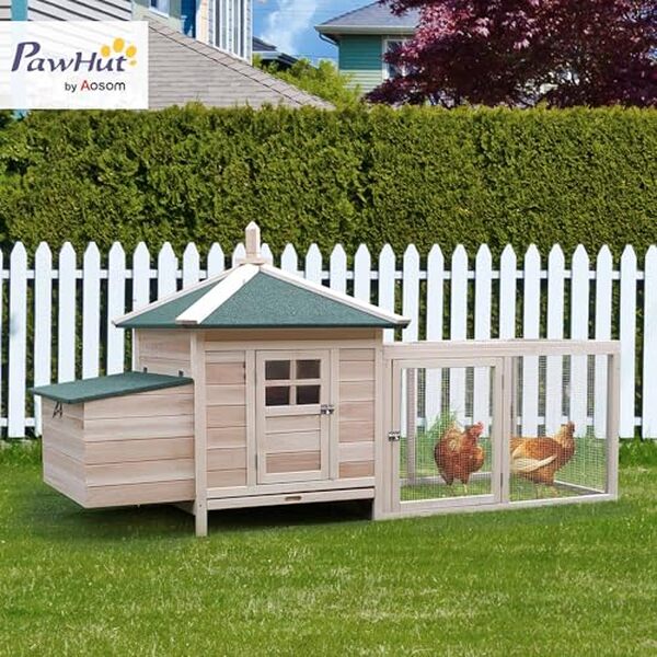 Découvrez notre test complet du poulailler PawHut Cottage, un abri multi-équipement en bois massif idéal pour vos volailles. Robustesse, design et praticité au rendez-vous.