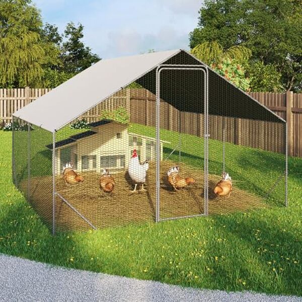 Découvrez notre test détaillé de l'enclos poulailler IDMarket de 9 m² en acier galvanisé. Avis, caractéristiques et conseils pour un espace sécurisé et durable pour vos poules.