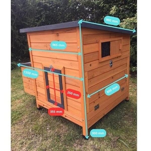 Découvrez le poulailler Sussex XL d'Animal Valley : un design noir sophistiqué pour accueillir 6 à 10 poules dans un espace sécurisé et confortable.