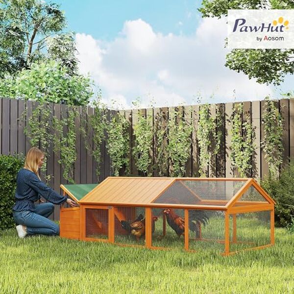 Découvrez notre test complet du poulailler en bois PawHut, un choix alliant design orange, praticité et confort pour le bien-être de vos poules