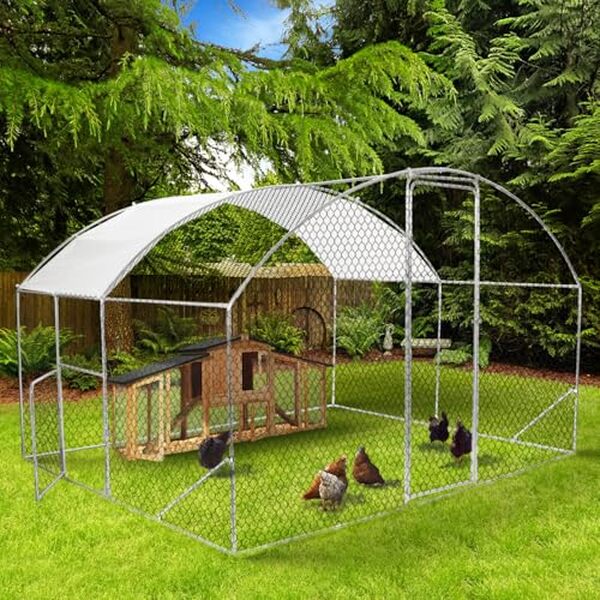 Découvrez notre test de l'enclos poulailler dôme IDMarket 7, 5 m² avec porte latérale : analyse de sa robustesse, facilité de montage et confort pour vos poules.