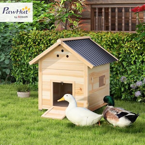 Découvrez notre analyse détaillée du poulailler en bois PawHut, idéal pour les amateurs de canards et de volailles. Conçu pour le confort et la sécurité de vos animaux, ce modèle allie praticité et design.