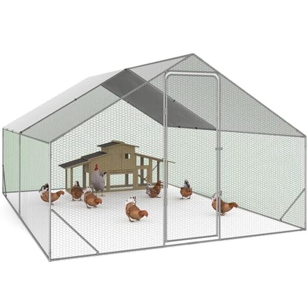 Découvrez notre analyse détaillée de l'enclos poulailler IDMarket 12 m² en acier galvanisé : caractéristiques, avantages et avis utilisateurs pour un choix éclairé.