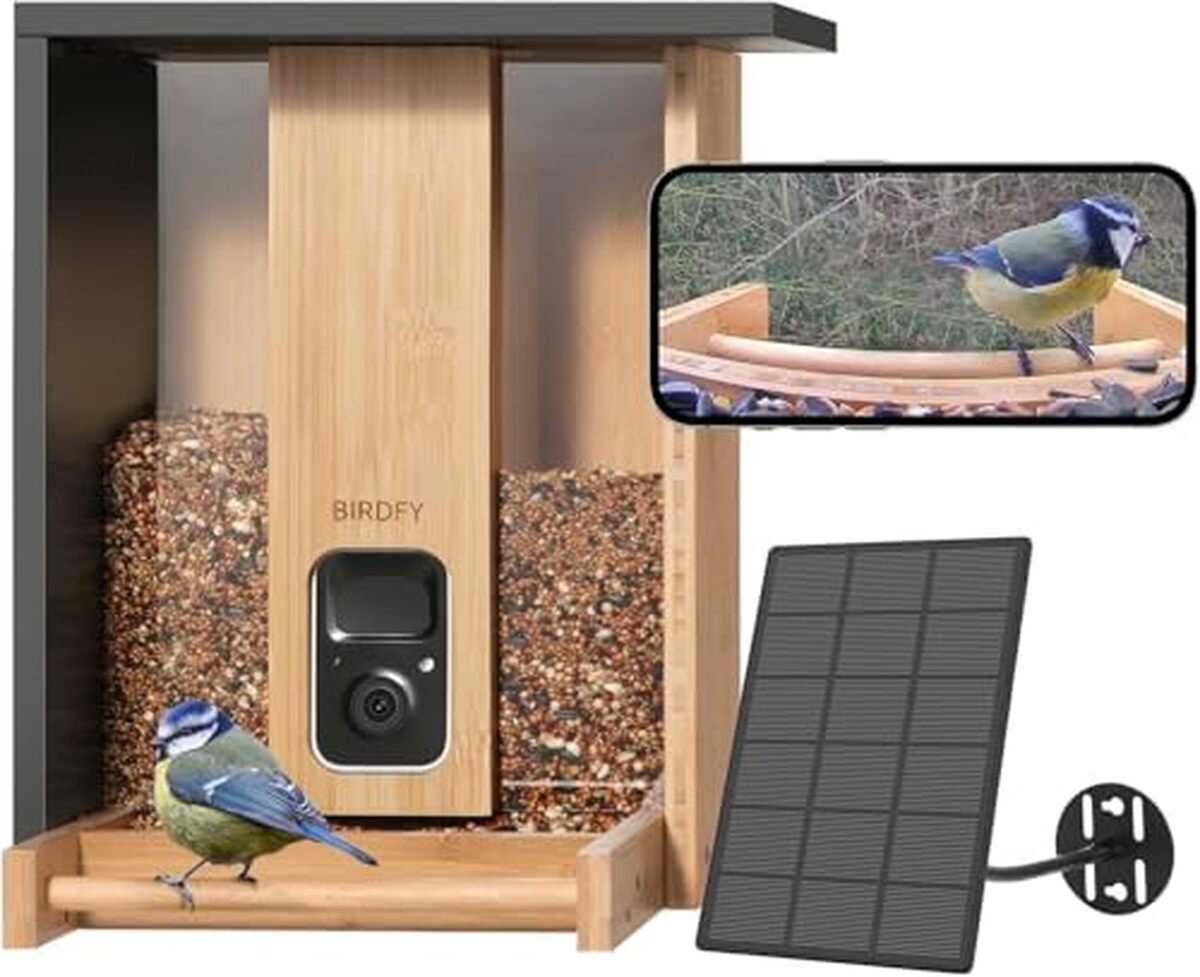 Test : birdfy mangeoire pour oiseaux avec caméra et panneau solaire