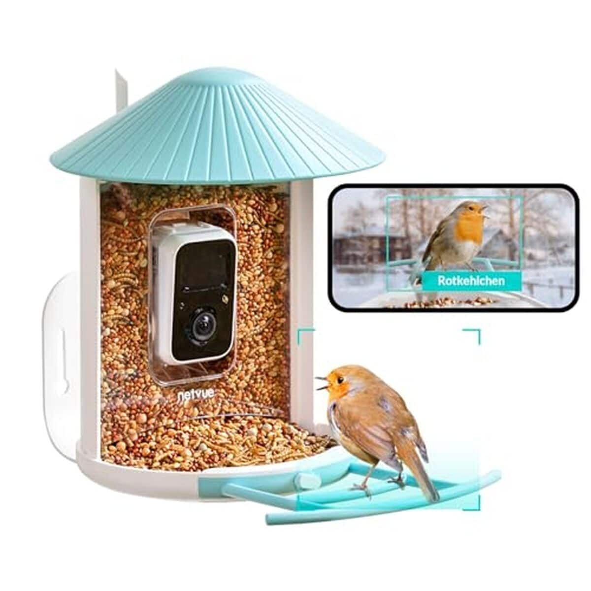 Test de la mangeoire intelligente Netvue by Birdfy avec caméra IA
