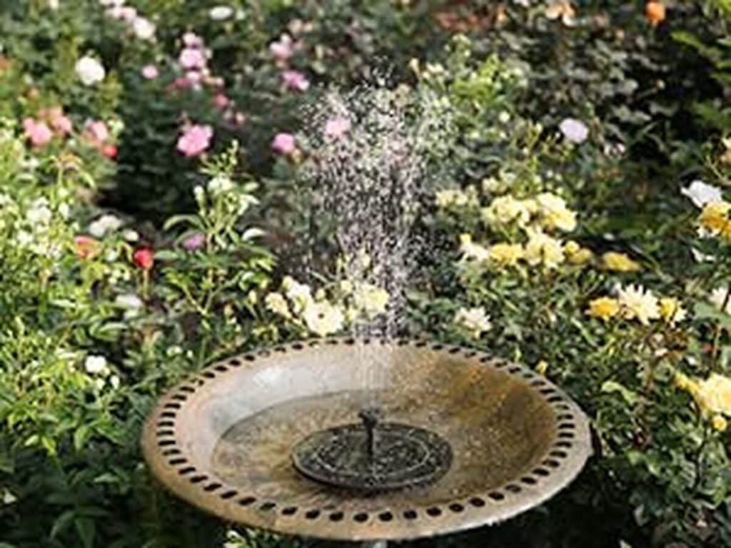 Test de l'abreuvoir solaire AISITIN 3, 5 W pour oiseaux