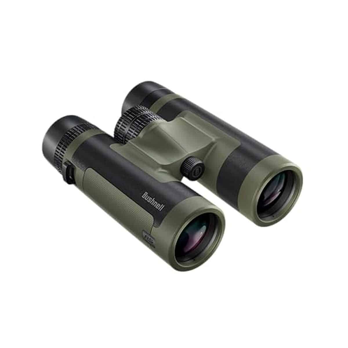 Test des jumelles Bushnell Vault Lite R5 10 x 42 pour l'observation de la faune