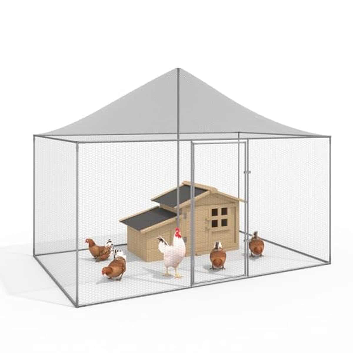 Test volière IDMarket 6 m² : l'enclos idéal pour les animaux de basse-cour