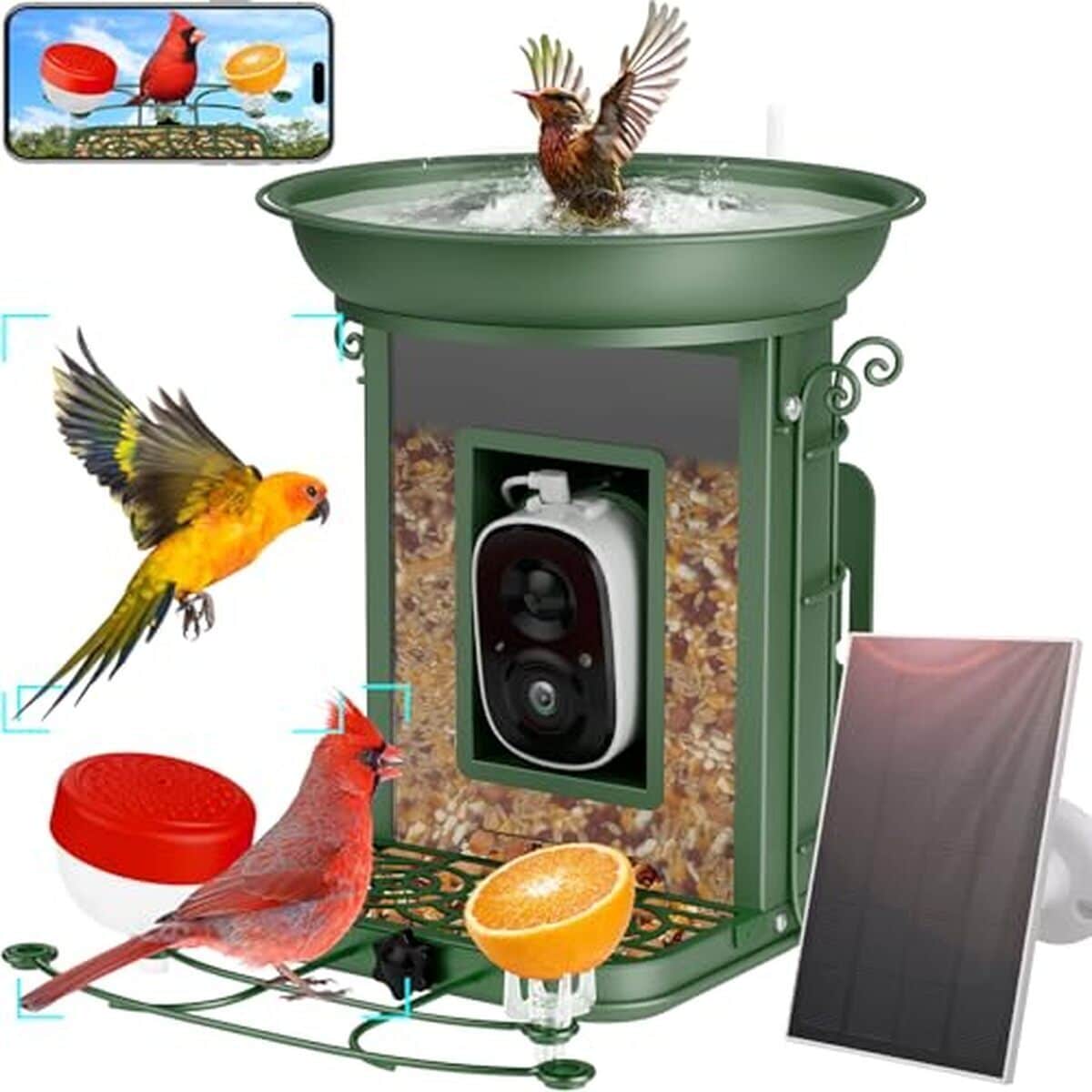 Test de la mangeoire intelligente pour oiseaux avec caméra 2K HD