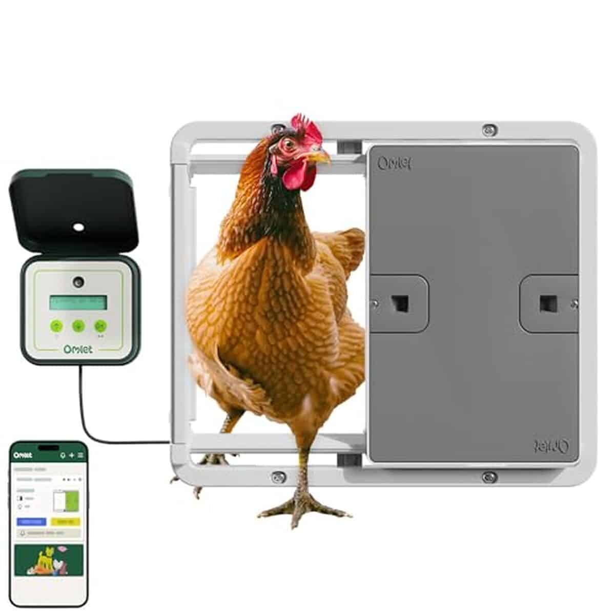 Test de la porte de poulailler automatique Omlet : intelligente et Wi-Fi