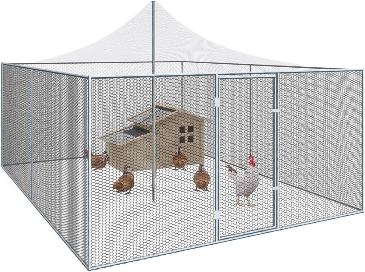 Test de la volière 12m² IDMarket : grand enclos avec toit filet