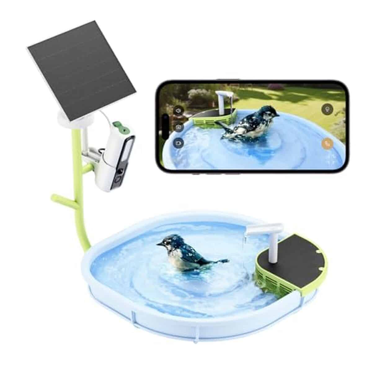 Test du bain d'oiseaux intelligent RELI Birddy avec caméra solaire