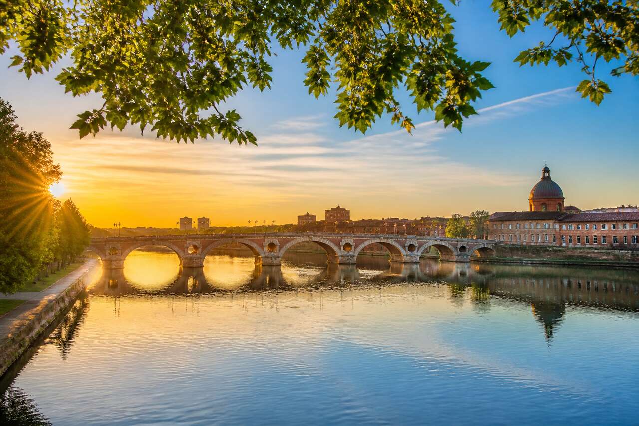 Top 10 des lieux pour observer les oiseaux à Toulouse