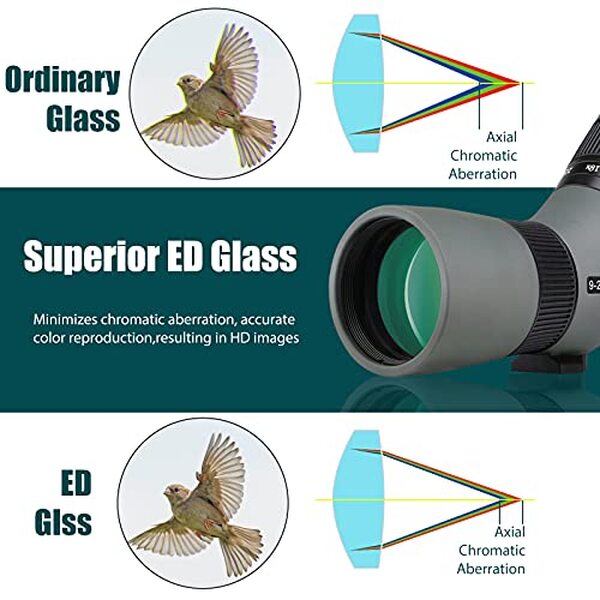 Découvrez notre test complet de la longue vue Svbony SV410 : performances optiques, portabilité et qualité pour l'observation animalière et paysagère en détail. 