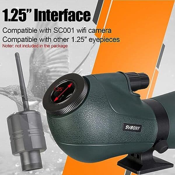 Découvrez notre test détaillé de la longue-vue Svbony SV406P : performances optiques, précision et ergonomie pour vos observations en nature. 