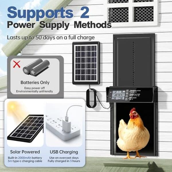 Découvrez notre test détaillé de la porte automatique Shikha pour poulailler électrique : fonctionnalités, avantages et performance pour protéger vos poules. 