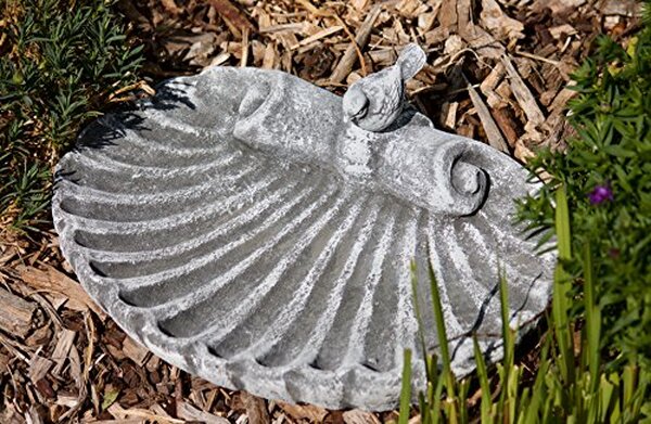 Découvrez notre avis détaillé sur les bains d'oiseaux en fonte massif : caractéristiques, avantages et conseils pour bien choisir votre modèle.
