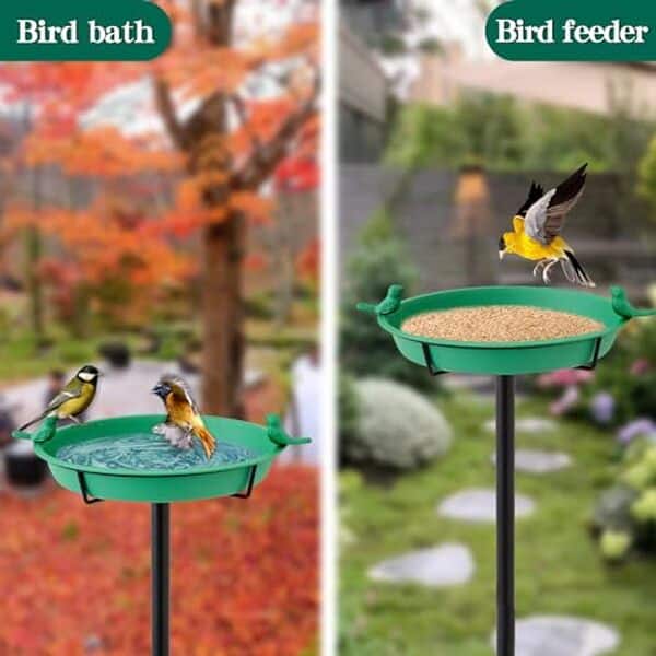 Découvrez notre test détaillé du bain d'oiseaux et mangeoire Aropad : caractéristiques, avantages et conseils pour attirer les oiseaux dans votre jardin avec ce produit innovant.