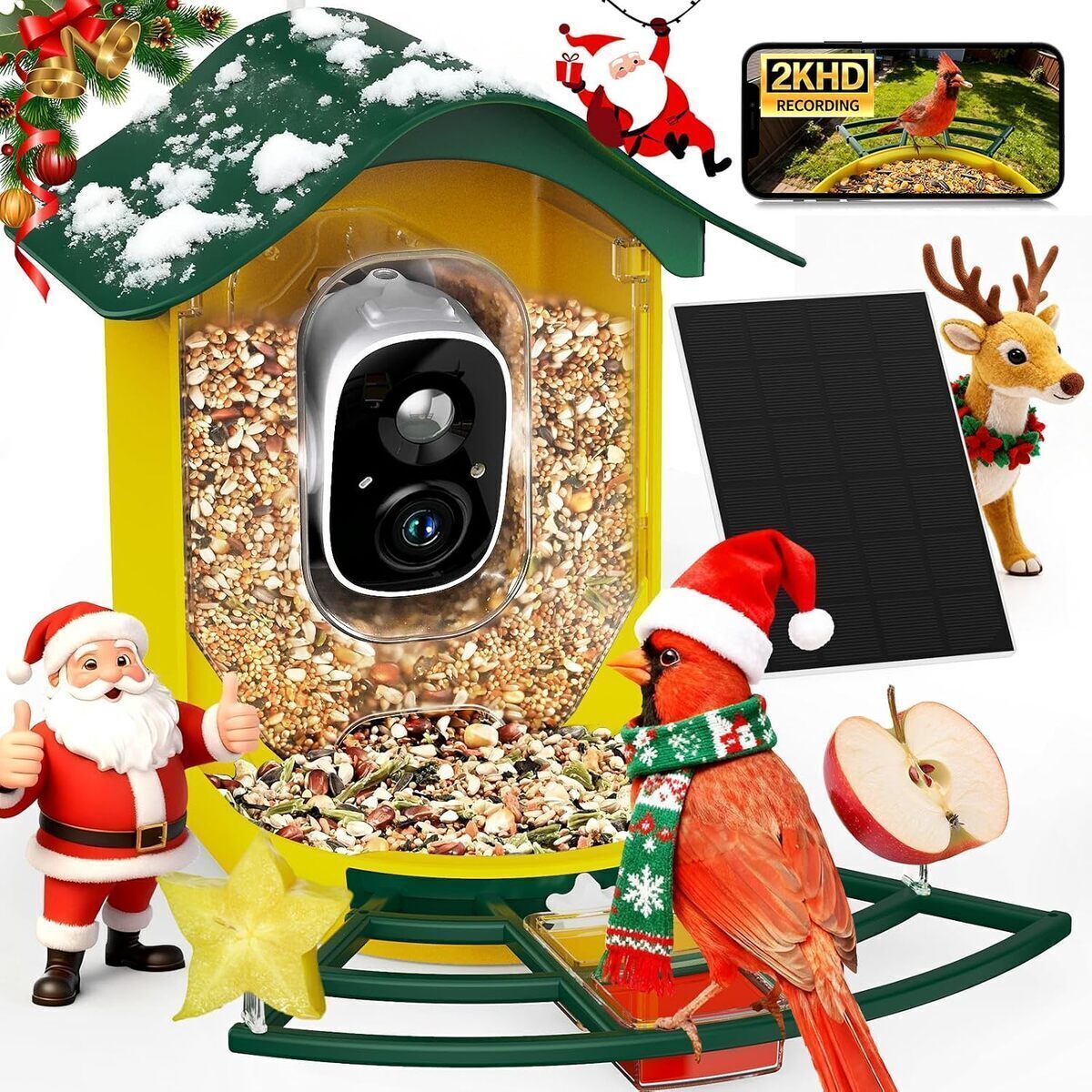 Test : mangeoire PeckCam solaire avec caméra 1080p
