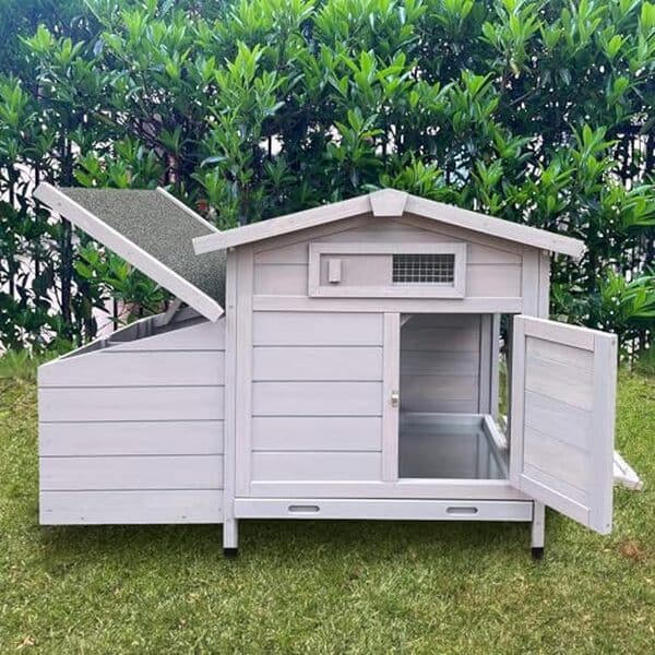 Découvrez notre test détaillé du poulailler résistant à l'hiver avec toit isolé. Nettoyage facile et protection optimale pour vos poules : comparatif et avis.